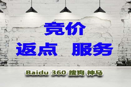 SEM托管公司案例分析：实战技巧全解析